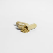 Pro Nutrition Ginkgo Biloba + Ginseng - 60 Capsules Dietary Supplement