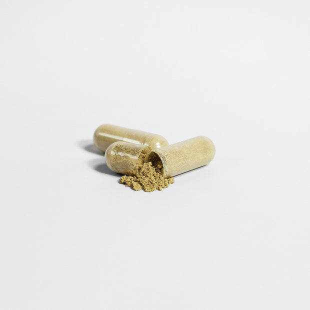 Pro Nutrition Ginkgo Biloba + Ginseng - 60 Capsules Dietary Supplement