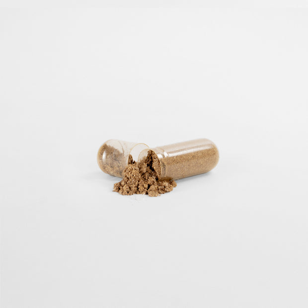Pro Nutrition Prostate Health Support