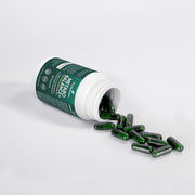 Pro Nutrition Fat Burner / Metabo Balance with MCT - 90 Capsules Dietary Supplement